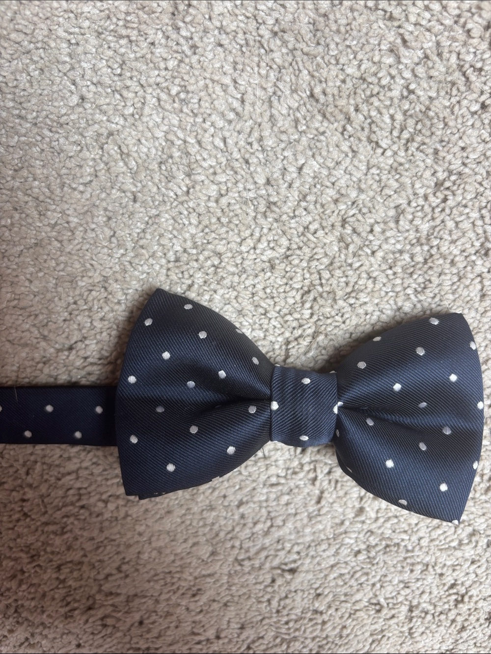 Navy Polka Dot Bow Tie